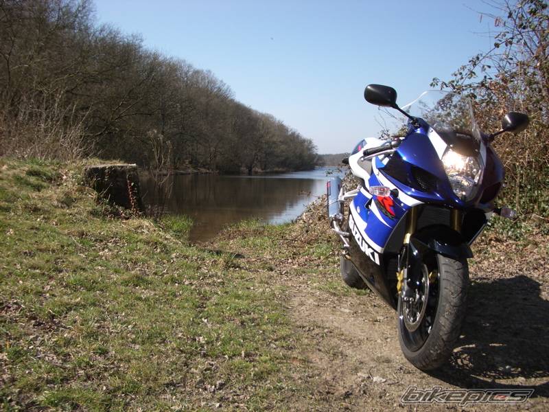 2003 SUZUKI GSX R 1000 | Picture 313614 motorcycle photo