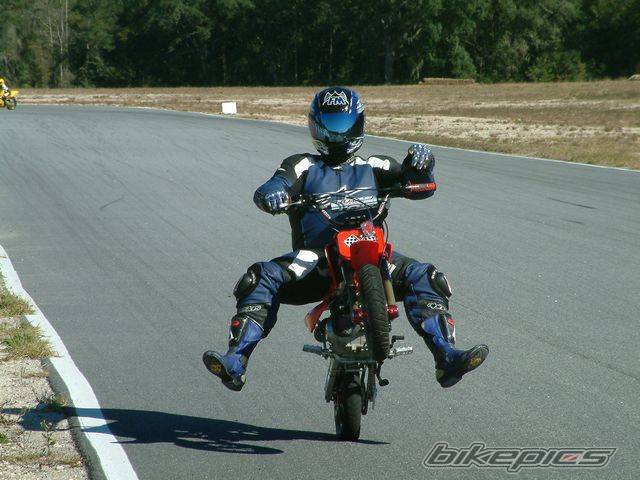 2003 HONDA XR 50 | Picture 313640 motorcycle photo