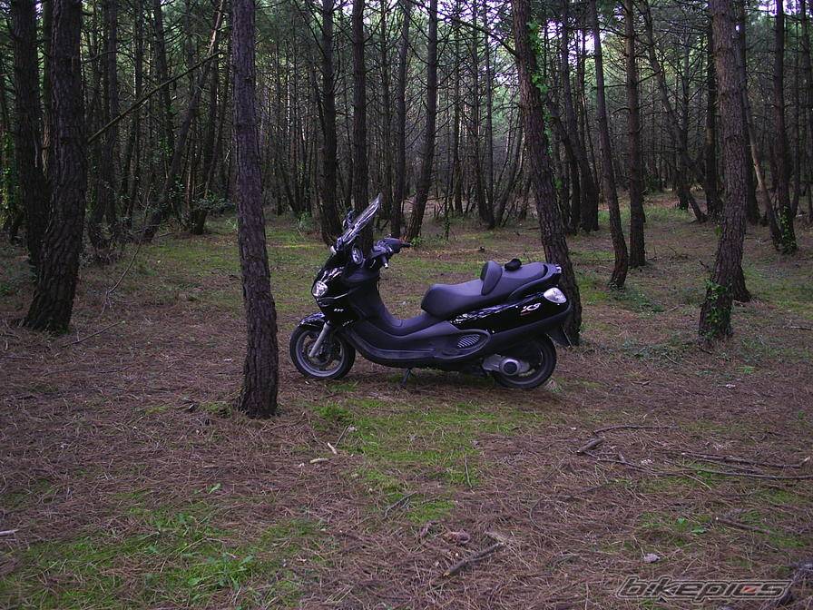 2004 PIAGGIO X9 250 | Picture 313653 motorcycle photo
