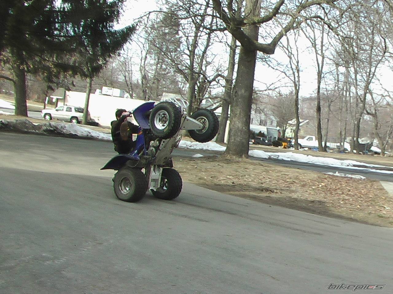 2001 YAMAHA RAPTOR YFM 660 | Picture 313736 motorcycle photo