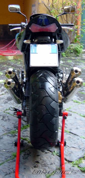 2005 KAWASAKI Z 1000 | Picture 313813 motorcycle photo
