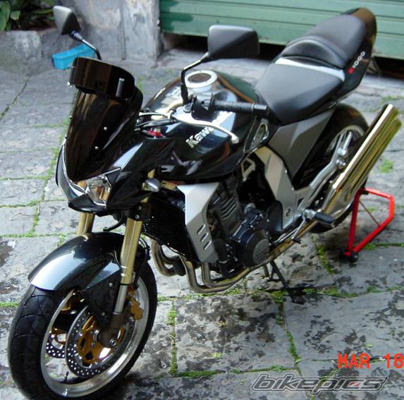 2005 KAWASAKI Z 1000 | Picture 313817 motorcycle photo