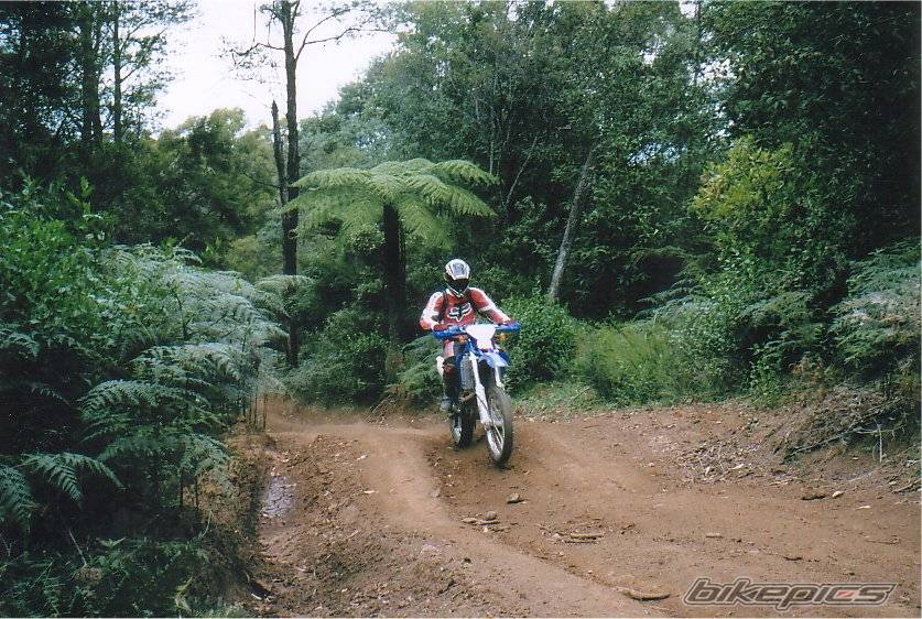 2002 YAMAHA WR 426F | Picture 314042 motorcycle photo