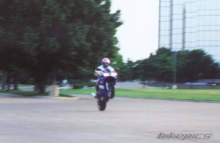 1999 YAMAHA YZF R1 | Picture 3142 motorcycle photo
