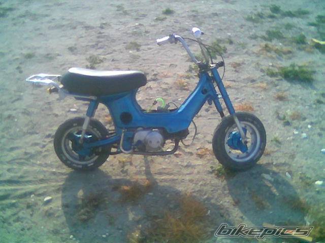 2004 HONDA CHALY | Picture 314929 motorcycle photo