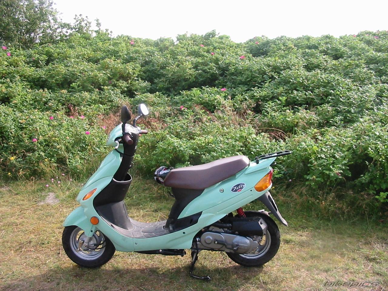 2001 KYMCO FILLY 50 | Picture 315347 motorcycle photo