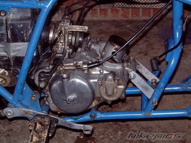 1986 SUZUKI QUADRACER 250 | Picture 315366 motorcycle photo