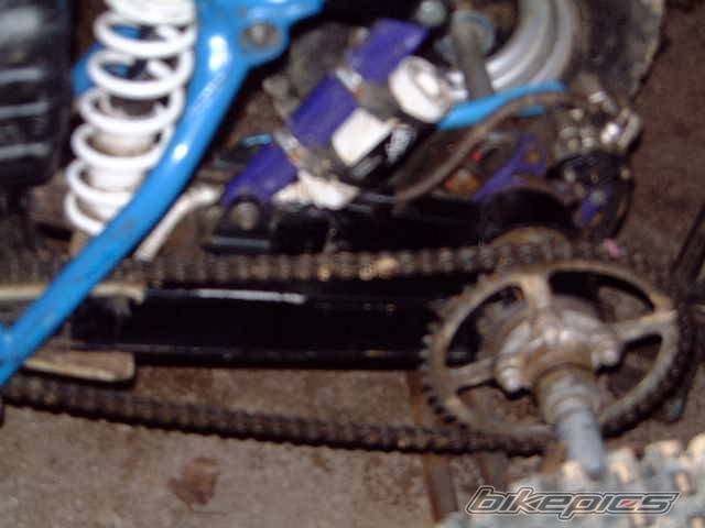 1986 SUZUKI QUADRACER 250 | Picture 315368 motorcycle photo