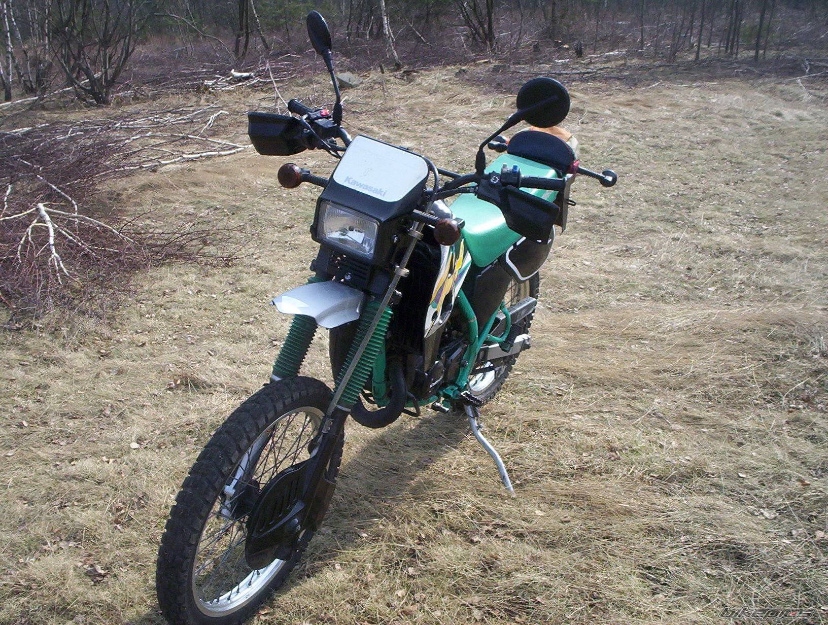 1998 KAWASAKI KMX 125 | Picture 315673 motorcycle photo
