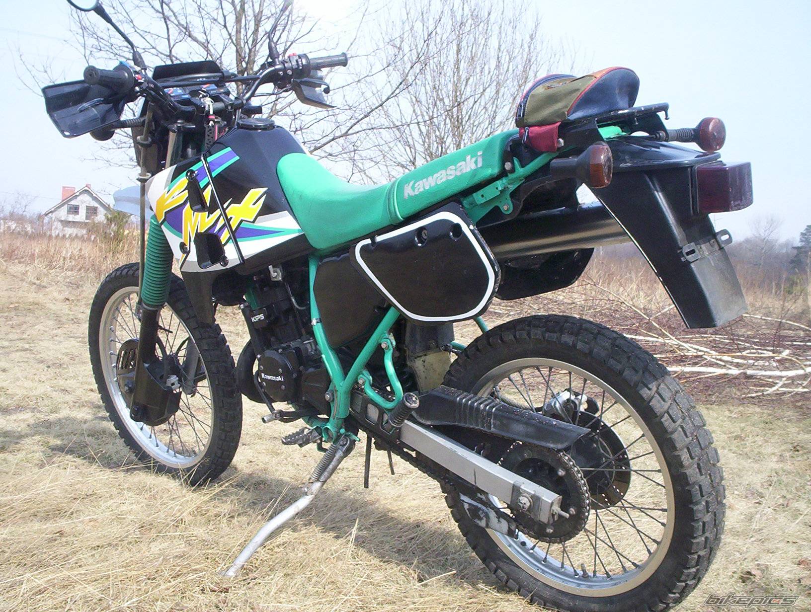 1998 KAWASAKI KMX 125 | Picture 315680 motorcycle photo