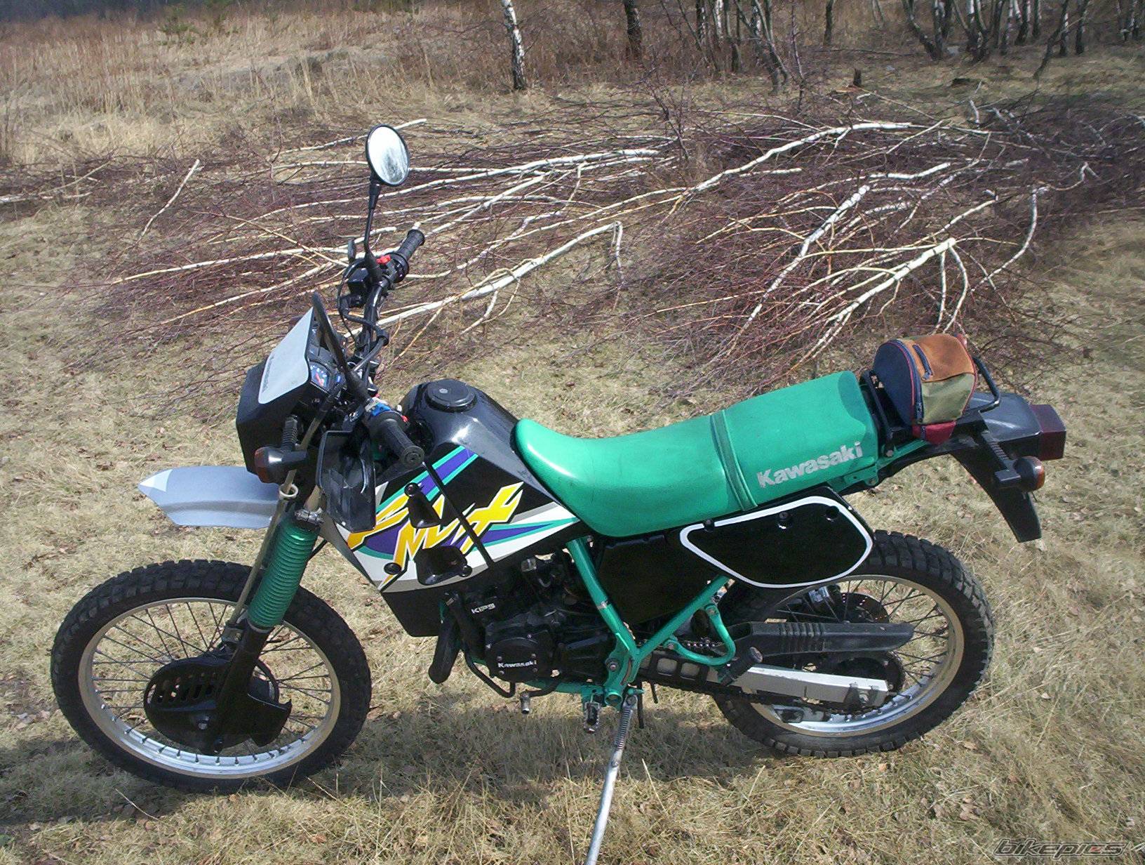 1998 KAWASAKI KMX 125 | Picture 315683 motorcycle photo
