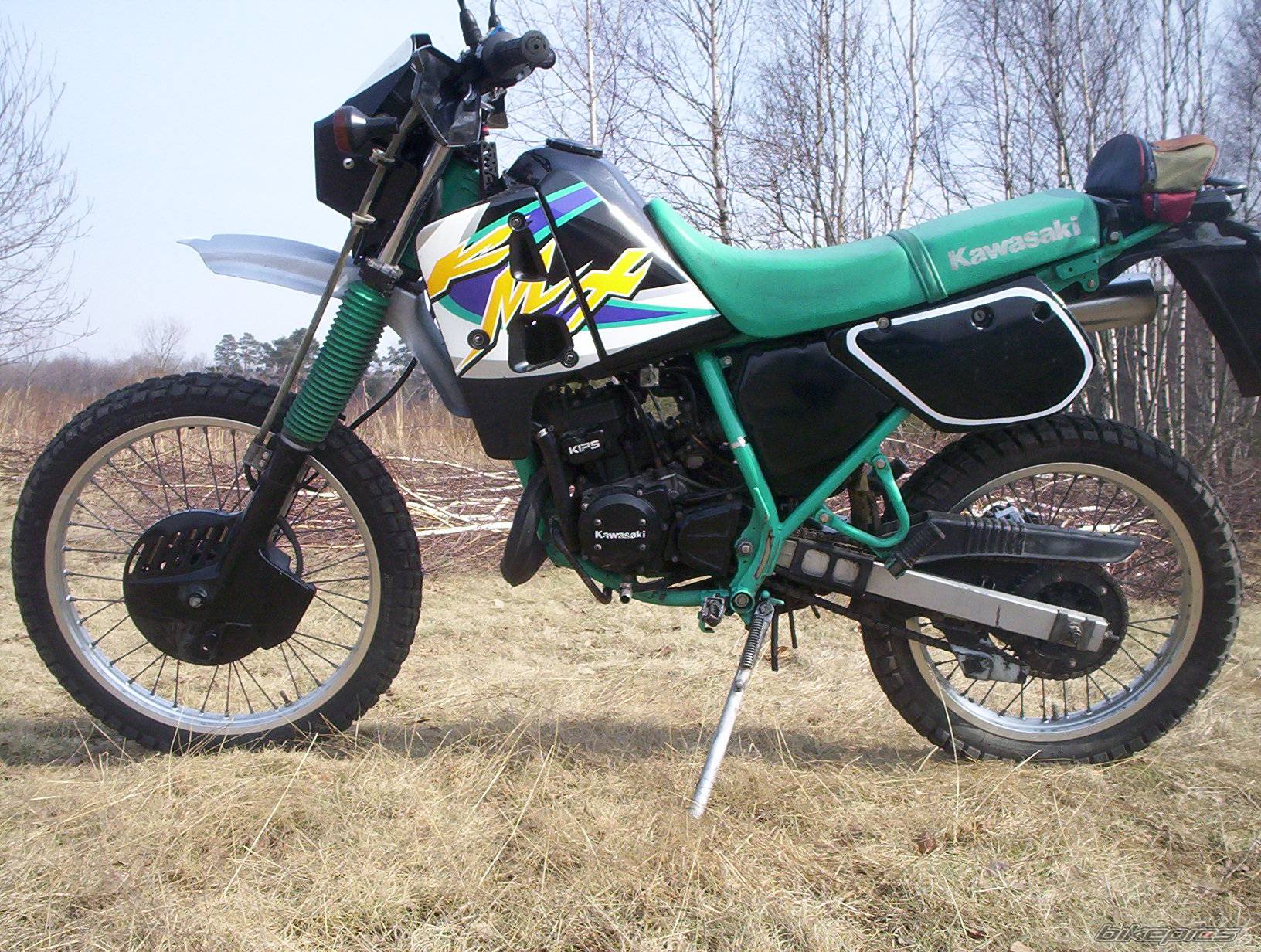 1998 KAWASAKI KMX 125 | Picture 315685 motorcycle photo