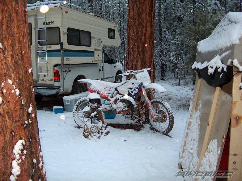 1995 HONDA CR 125 | Picture 315718 motorcycle photo