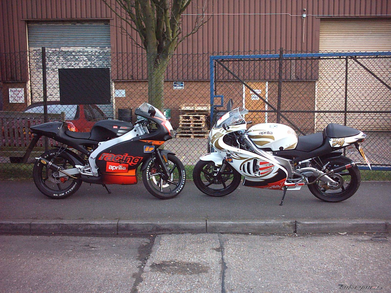 2005 APRILIA RS 125 | Picture 315789 motorcycle photo
