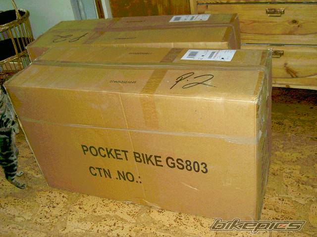 2005 BLATA POCKET ROCKET | Picture 315800 motorcycle photo