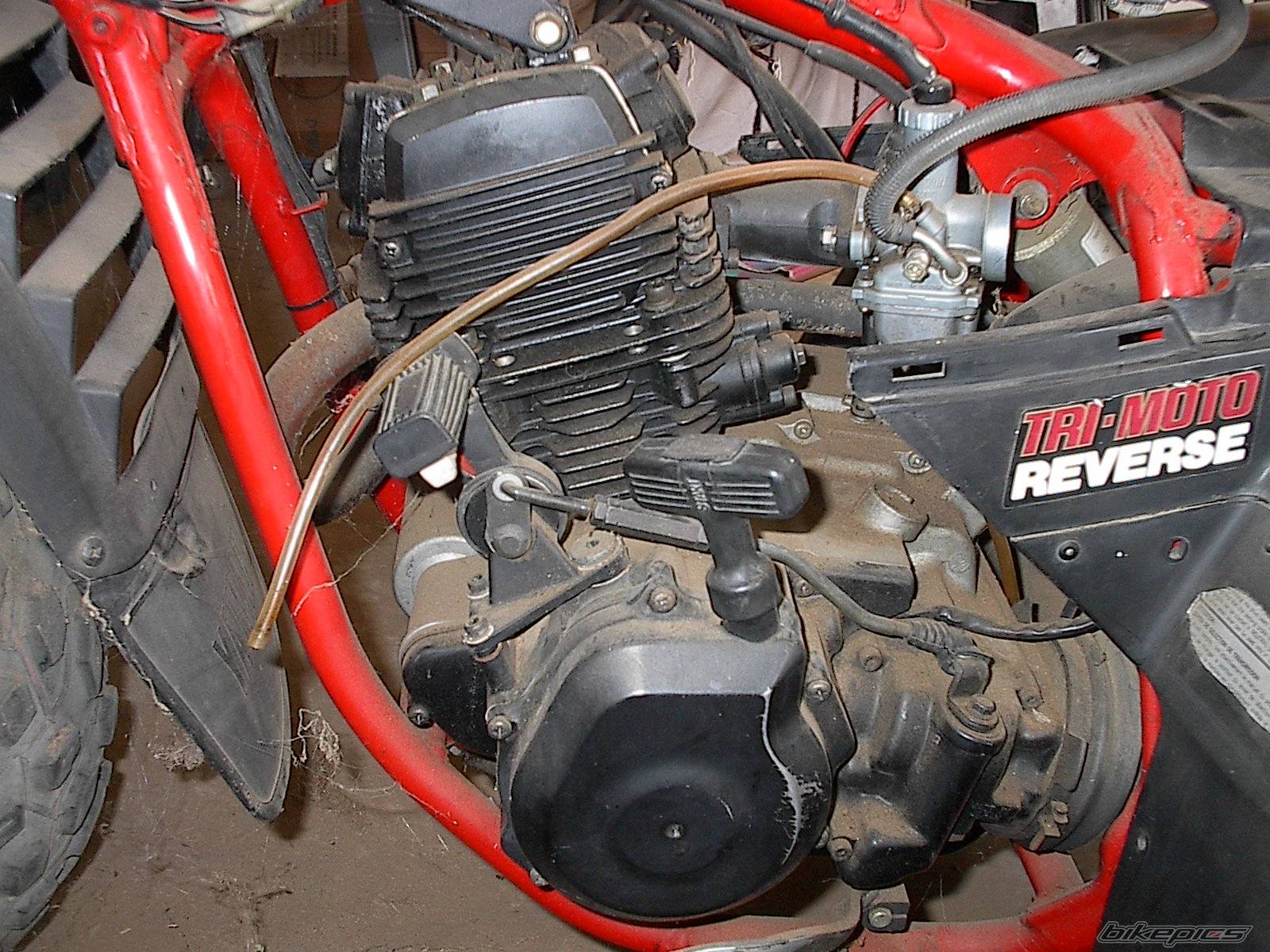 1986 YAMAHA TTR 225 | Picture 31609 motorcycle photo