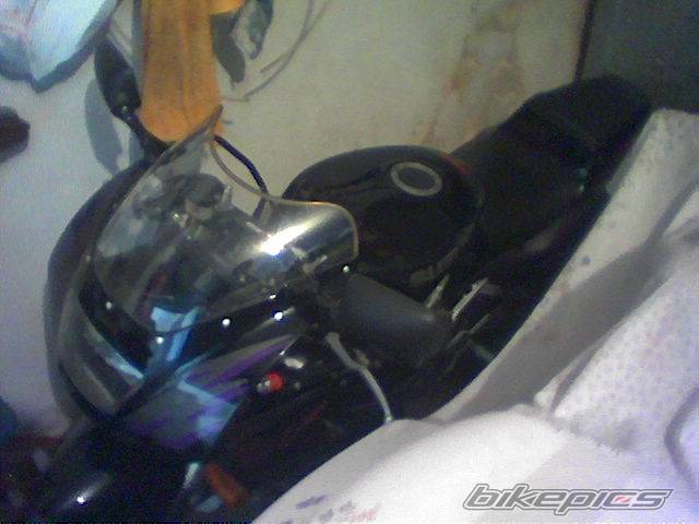 1994 SUZUKI RGV 250 | Picture 316311 motorcycle photo
