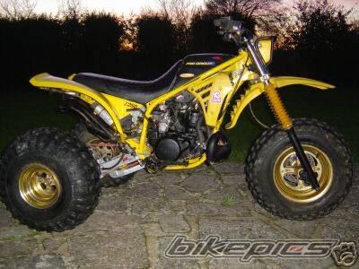 1985 YAMAHA TRI Z 250 | Picture 316312 motorcycle photo