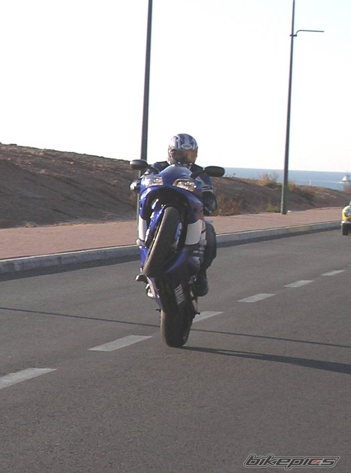 1999 YAMAHA YZF R1 | Picture 316579 motorcycle photo