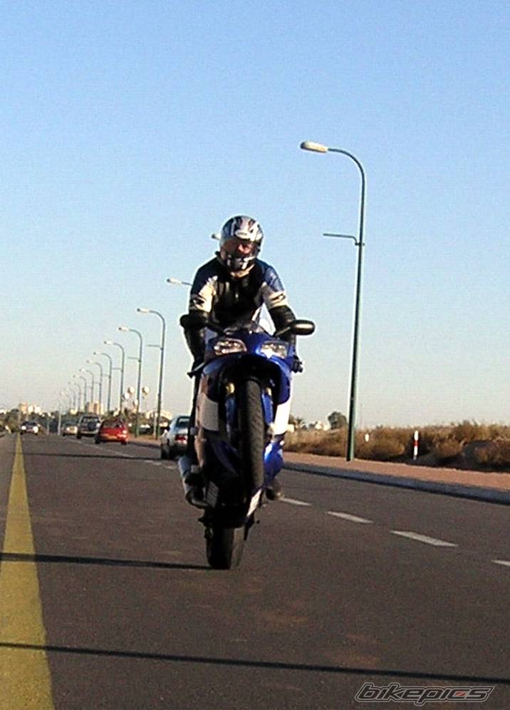 1999 YAMAHA YZF R1 | Picture 316583 motorcycle photo