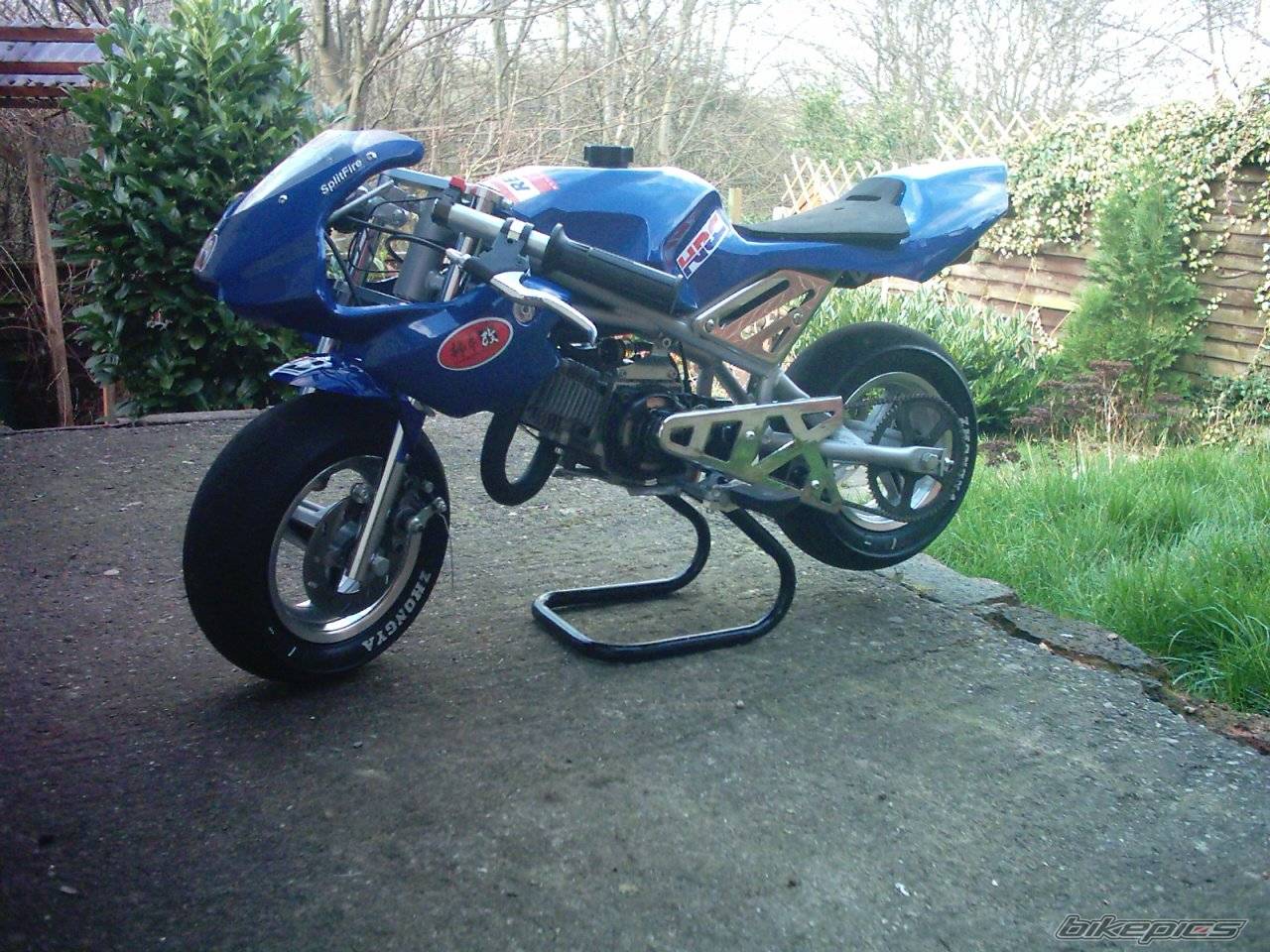 2004 BLATA REPLICA | Picture 317091 motorcycle photo
