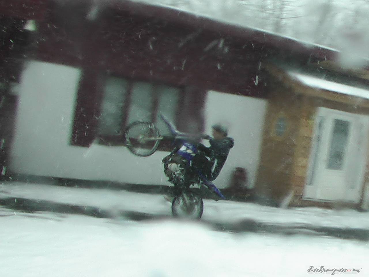 2001 YAMAHA TTR 125 | Picture 317528 motorcycle photo