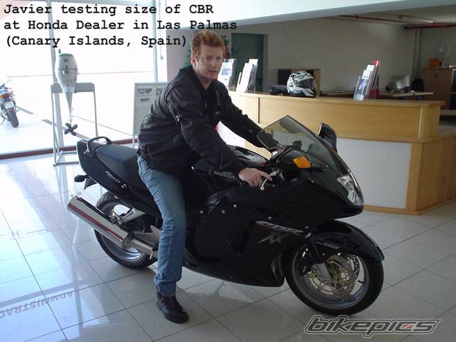 2004 HONDA CBR 1100 BLACKBIRD | Picture 317606 motorcycle photo