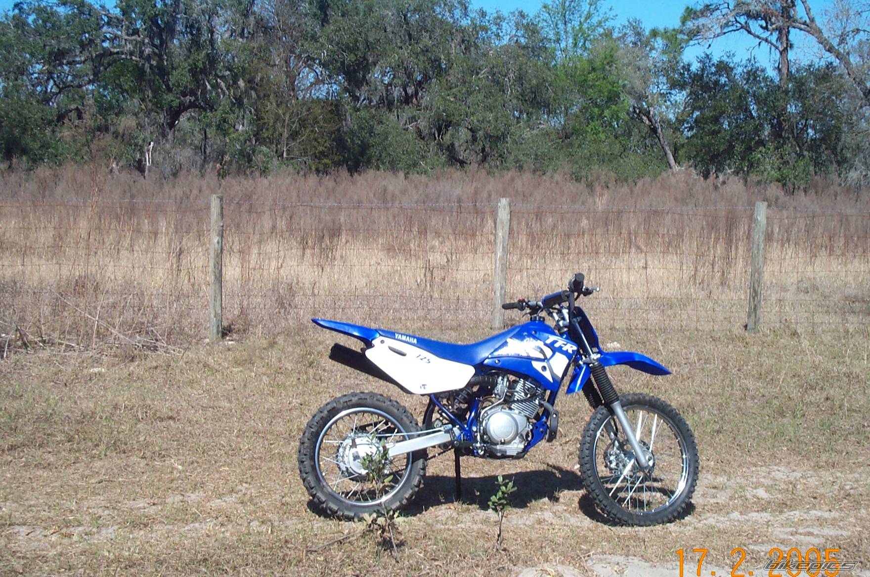 2002 YAMAHA TTR 125 | Picture 317836 motorcycle photo