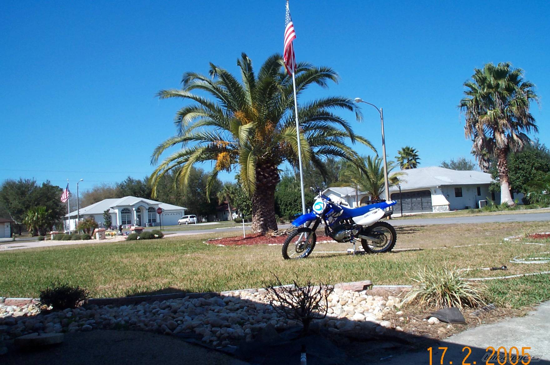 2002 YAMAHA TTR 125 | Picture 317843 motorcycle photo