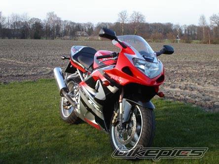 2001 SUZUKI GSX R 1000 | Picture 317861 motorcycle photo