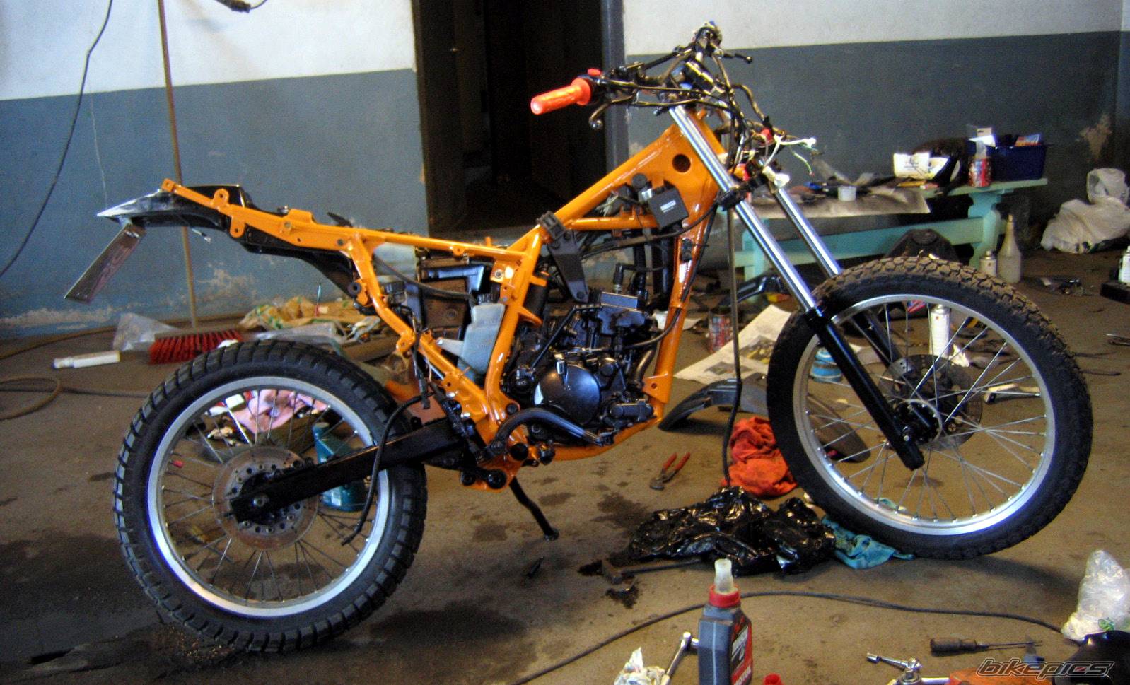 2005 KAWASAKI KMX 125 | Picture 317909 motorcycle photo