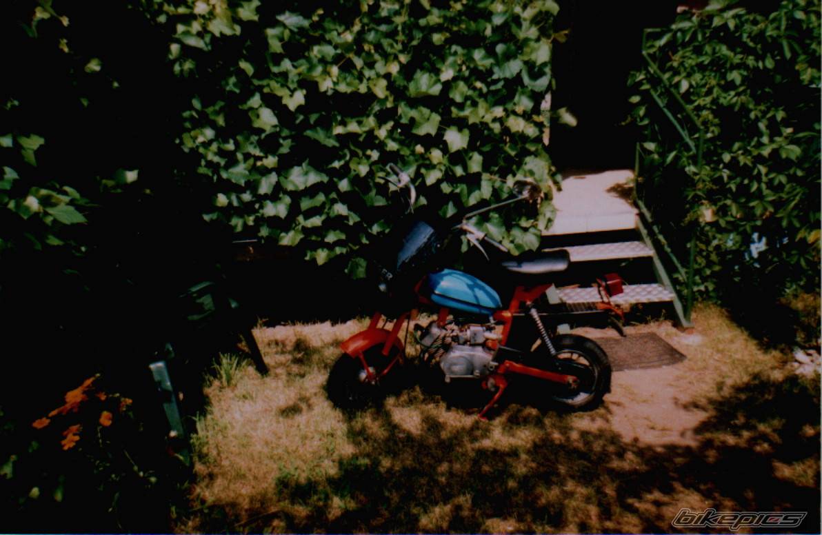 1989 ROMET PONY MOTORYNKA | Picture 317992 motorcycle photo