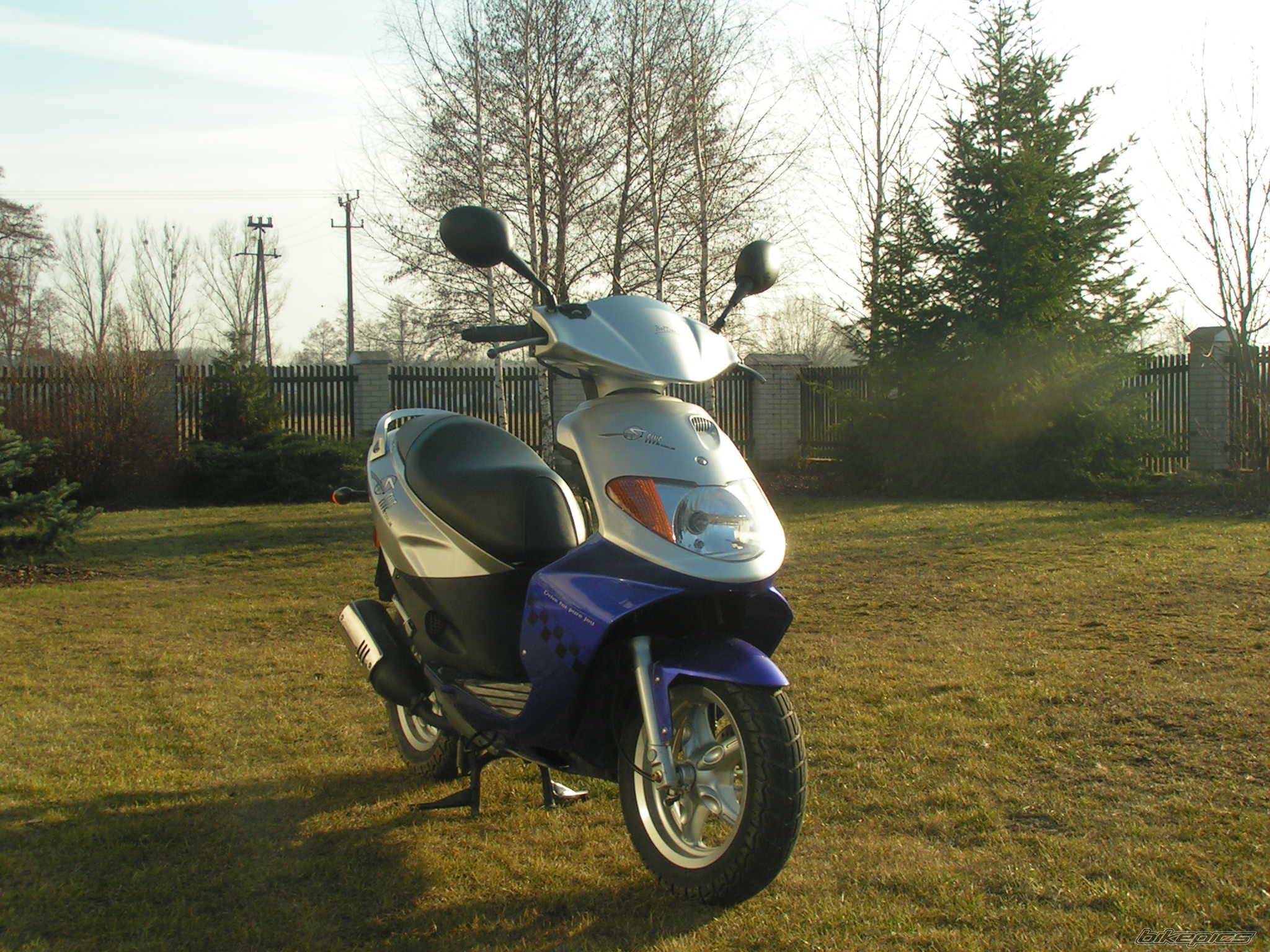 2003 DAELIM S FIVE 50 | Picture 318073 motorcycle photo