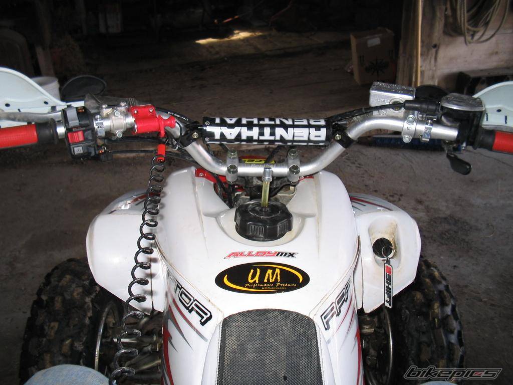 2004 YAMAHA RAPTOR 350 | Picture 318089 motorcycle photo