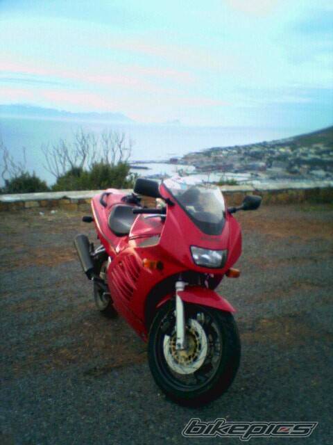 1994 SUZUKI RF 400 | Picture 318401 motorcycle photo