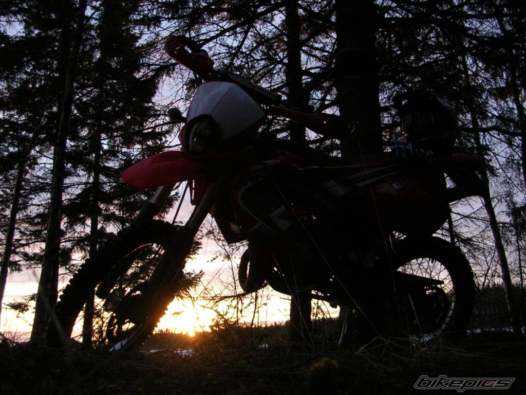 2004 RIEJU MRX 50 | Picture 318733 motorcycle photo