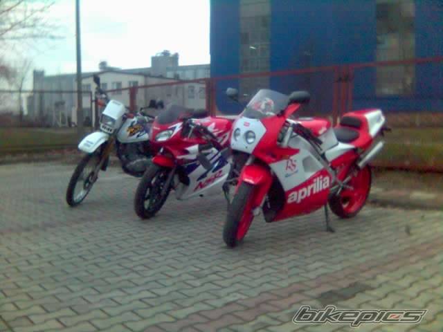 1992 APRILIA RS 125 | Picture 318744 motorcycle photo