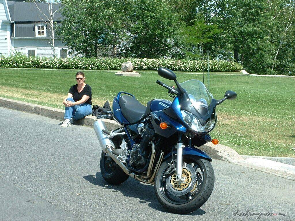 2002 SUZUKI BANDIT 1200 | Picture 31901 motorcycle photo