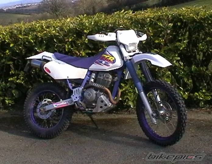 1997 YAMAHA TTR 250 | Picture 319186 motorcycle photo