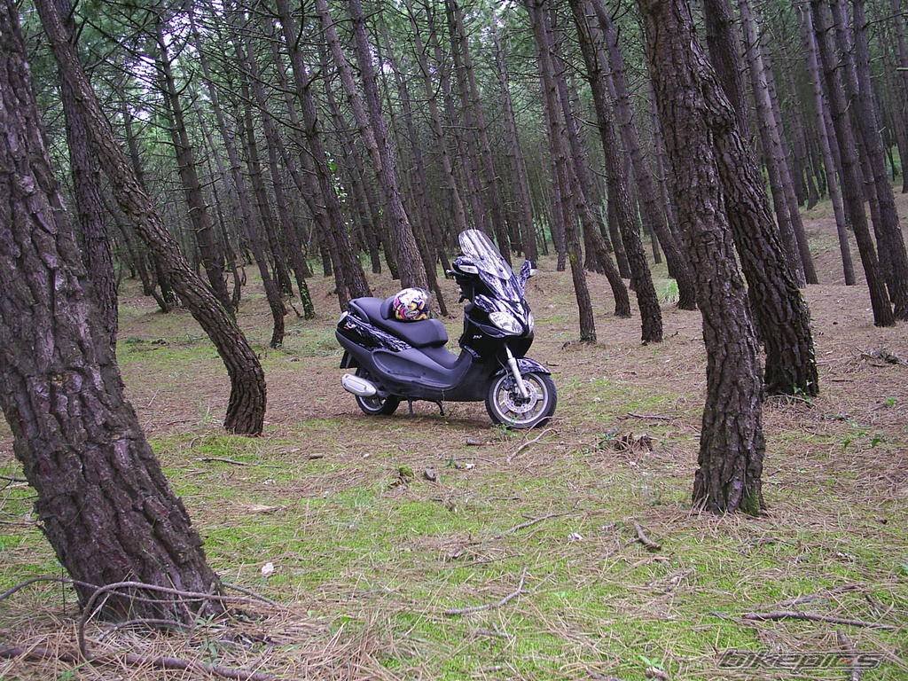 2004 PIAGGIO X9 250 | Picture 319273 motorcycle photo