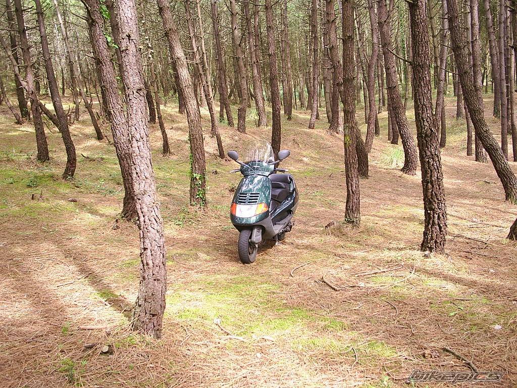 1997 PIAGGIO HEXAGON | Picture 319276 motorcycle photo