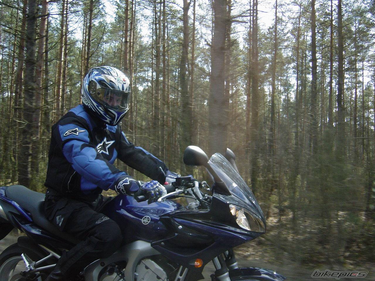 2005 YAMAHA FZ6 FAZER | Picture 319544 motorcycle photo