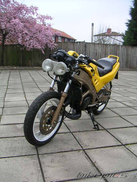 1992 HONDA NSR 125 | Picture 319681 motorcycle photo