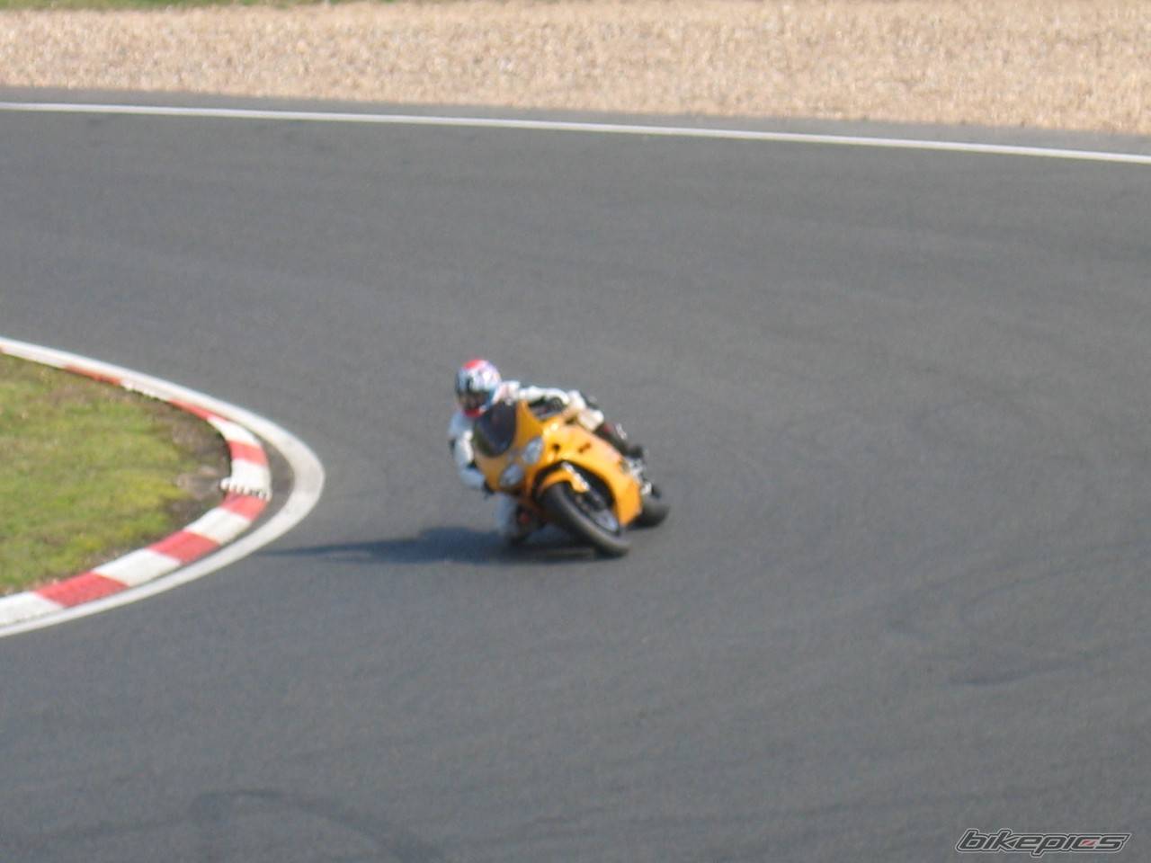 1998 TRIUMPH DAYTONA 955I | Picture 319891 motorcycle photo
