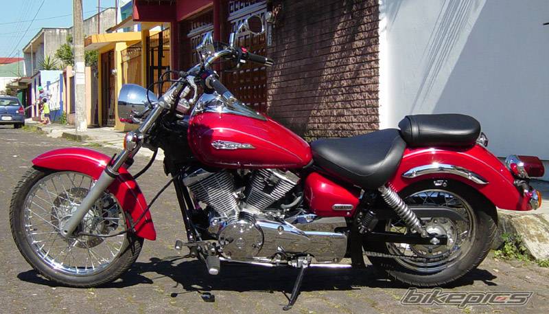 2004 YAMAHA XVS 250 DRAGSTAR | Picture 320001 motorcycle photo