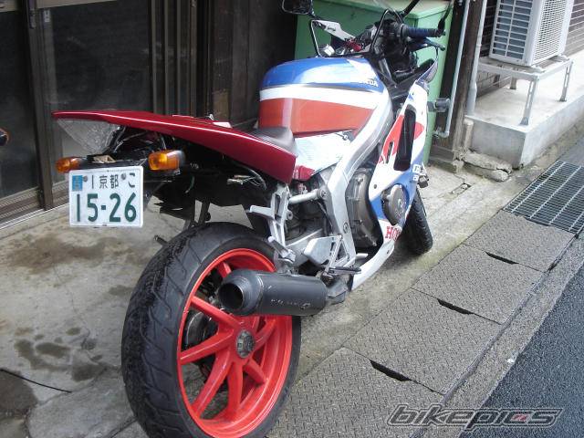 1988 HONDA CBR 250 | Picture 320103 motorcycle photo