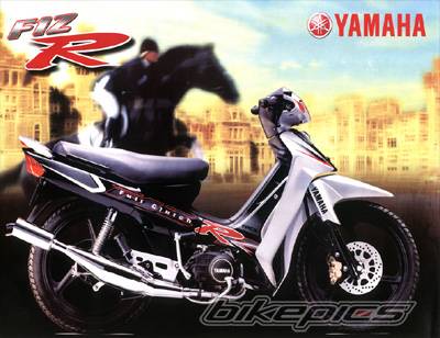 2001 YAMAHA FZ 1 | Picture 32048 motorcycle photo