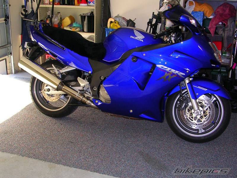 2004 HONDA CBR 1100 BLACKBIRD | Picture 320690 motorcycle photo
