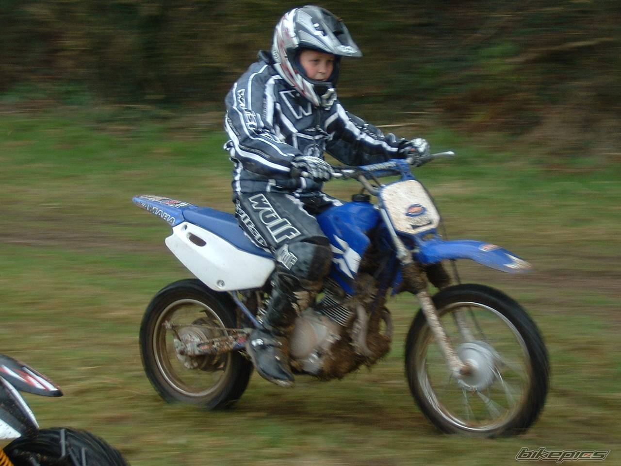 2001 YAMAHA TTR 125 | Picture 320872 motorcycle photo