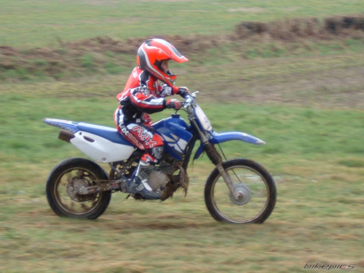 2001 YAMAHA TTR 125 | Picture 320876 motorcycle photo